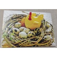 Посткроссинг. Открытка Курочка в гнёздышке, фото Оксана Лемешевская (10х15). Прошла почту. Художественные марки, чёткий штемпель.