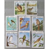 Куба птицы 8шт