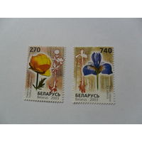 Беларусь, флора