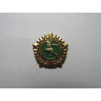 Значок "Готов к труду и обороне СССР" (ГТО). 1разряд. Цена за штуку.