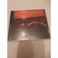 JOHN HAYDOCK  ( a la DIRE STRAITS)  " THUNDER ON THE OUTSKIRTS OF TOWN" CD 2025