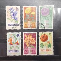 Румыния. 1984 год. Флора. Цветы (1298)