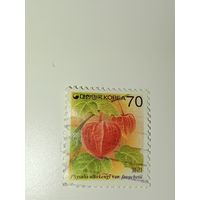 Корея 1995 год Физалис Франше