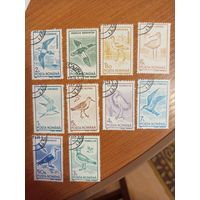 1991 Румыния фауна птицы полная серия (4-12)
