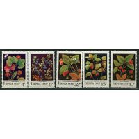 Ягоды. 1982. Полная серия 5 марок. Чистые
