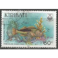 Кирибати. Рыбы. Кудрепер Форстера. 1990г. Mi#554.