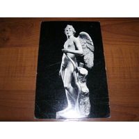 Эрмитаж Амур чистая