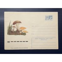 СССР 1975 ХМК худ.Куприянов. Подберезовик(1).