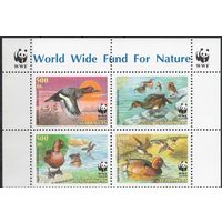 Азербайджан 2000. Фауна WWF. Птицы, утки. Верхняя сцепка 4 марки (130)