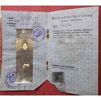 Паспорт 1917г.