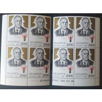 Беларусь 1996 2 кв.блока , угловые, 100л рожд. Жукова. Разновидность окраски бронзы.