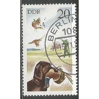 ГДР. Охота на фазанов. 1977г. Mi#2272..