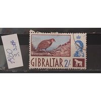 РАСПРОДАЖА. ГИБРАЛТАР 1960г. Гаш.