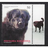Македония 2011.Фауна. Собака 1 марка (585)