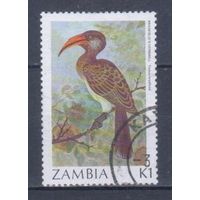 [771] Замбия 1987. Фауна.Птица-носорог. Гашеная марка.