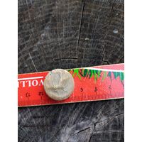 Орлик. Польша (15). Находка