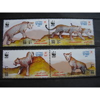 Оман, леопарды, полная серия. 2004 г. 2 фото. см. условие.