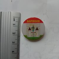 Значок Борисов