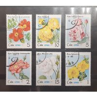 Куба. 1979 год. Флора. Цветы. Розы (242)