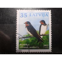 Латвия, 2012. Птицы