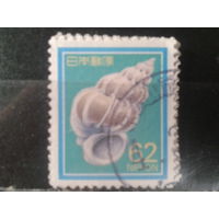 Япония, 1989. Ракушка. Mi-1,10 евро гаш.