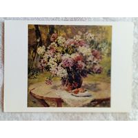 Соколова. Флоксы