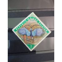 Малуку Селатан 1953 птицы