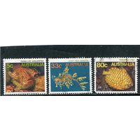 Австралия. Морская фауна