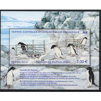 Французские территории в Антарктиде 2012. Пингвины. 1 блок (790)