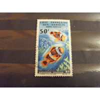 Французская колония Французский Берег Сомали фауна моря коралловая рыба дорогая легкое повреждение (2-1)
