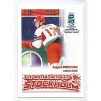 Андрей Филичкин / Сборная Беларуси / 2013г.