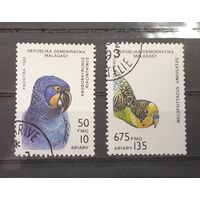 Мадагаскар. 192 год. Фауна. Птицы. Попугаи