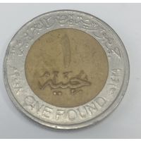 1 фунт 2008