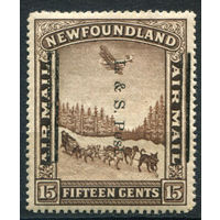 Британские колонии - Ньюфаундленд - 1933г. - авиация, авиапочта - 1 марка - MLH, слегка потрескавшийся клей [Mi 193]. #3-WB-94-A-1