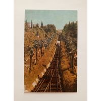 Открытка Сочи фото М.Альперта. 1968 год. Чистая