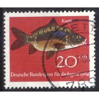 ГЕРМАНИЯ, ФРГ - 1964 [Mi. 414]  Гашеная (DE04)