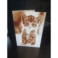 Открытка Hallmark