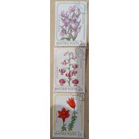 Венгрия 1985. Флора. Цветы