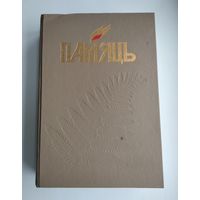 Памяць. Петрыкаўскі раён.