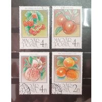 Венгрия. 1986 год. Флора. Фрукты. Ягоды (1576)