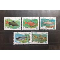 Вьетнам. 1987 год. Фауна. Рыбы (13)
