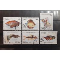 Куба. 1978 год. Фауна. Рыбы (29)
