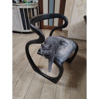 Два  винтажных кресла  цена за одно.