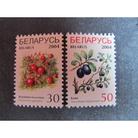 Марки РБ ##535, 538. Клюква болотная. Голубика