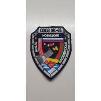 Шеврон Союз МС-25 Новицкий-Василевская-DYSON