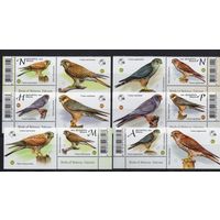 Беларусь 2021.Птицы.Соколы 8 марок+купоны (1146)