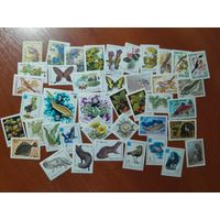 ФЛОРА,ФАУНА (41 чистая марка СССР)