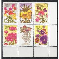 Россия 1996. Флора. Декоративные растения 5 марок+купон(152)