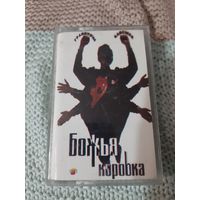 Кассета  Божья коровка. Гранитный камушек.