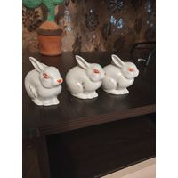 Зайцы,Полонский ф/з.